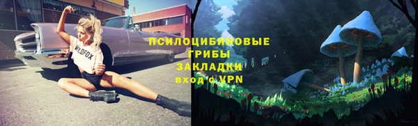 дмт Алексин