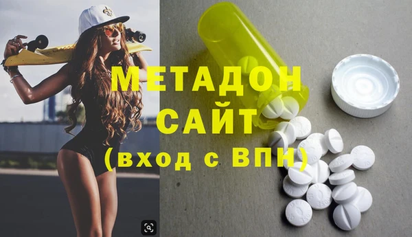 сатива Новодвинск